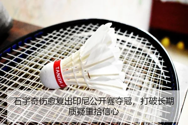 shi-yu-qi-shang-yu-fu-chu-yin-ni-gong-kai-sai-duo-guan-da-po-chang-qi-zhi-yi-zhong-shi-xin-xin-2-496.jpg
